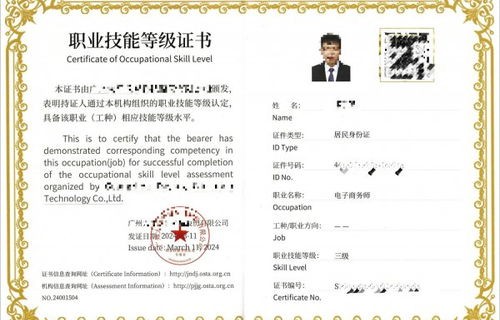 电子商务师专业技能认证