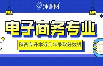 专业电子商务可以升本吗