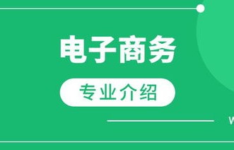 电子商务专业做开发好吗