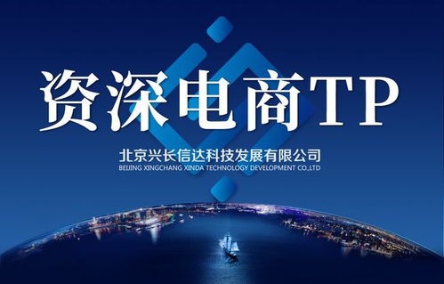 上海专业型电子商务方案