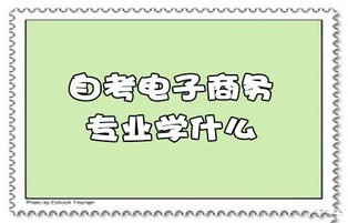电子商务师专业考试难吗