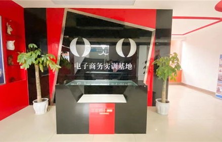 四川专业电子商务商城