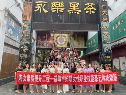 安化电子商务专业怎么样