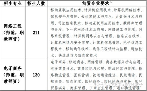 电子商务专业插本考什么