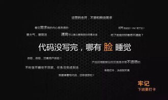 电子商务的专业一级目录