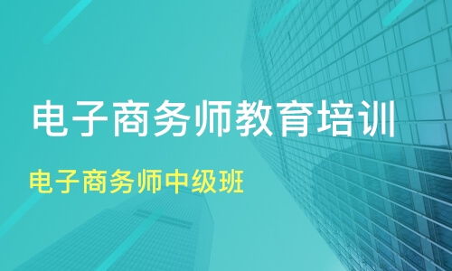 中级电子商务师专业课