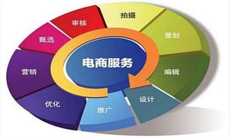 单招电子商务专业几大类