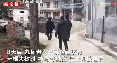 8旬老人遭毒蛇突袭淡定驱赶